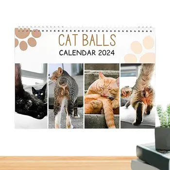 Календарь Cat Butthole Забавный календарь Cat Butthole Календарь на 12 месяцев Календарь Cat Balls на 2024 год для небольшого письменного стола Стена Спальня Гостиная Кабинет