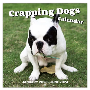 1 шт. Настенный календарь-2024 Календарь-2024 Календарь 12 ежемесячных какающих собак 2024 Забавные подарки
